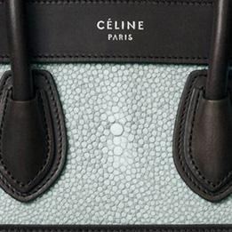 leraar Aanpassing software Your Guide to the Celine Luggage Tote